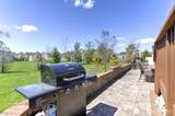 6 Michelangelo Drive - Photo 49