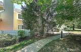 12 Wynwood Drive - Photo 24