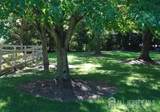 246 Fresh Ponds Road - Photo 6