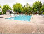 704 Dahlia Circle - Photo 33