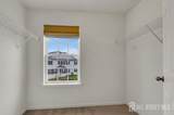44 Begonia Lane - Photo 13