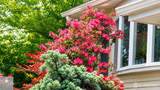 10 Tyroler Court - Photo 33