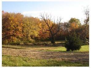 258 Mounts Mills Road - Photo 1