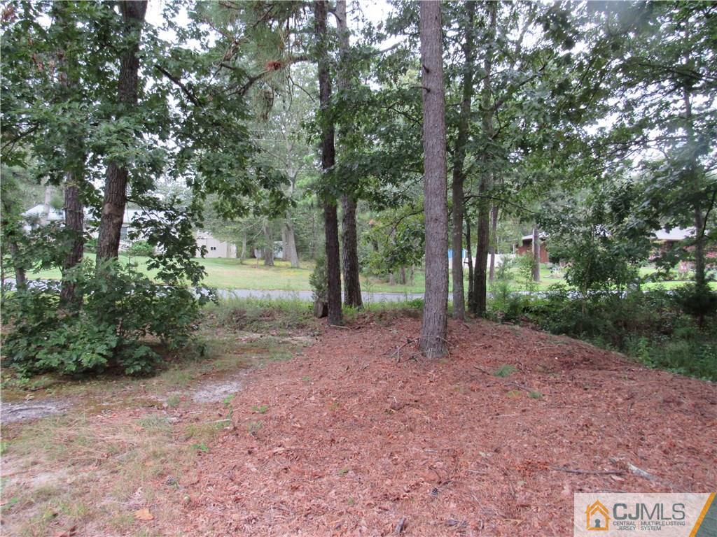 0 Nolan Avenue - Photo 1