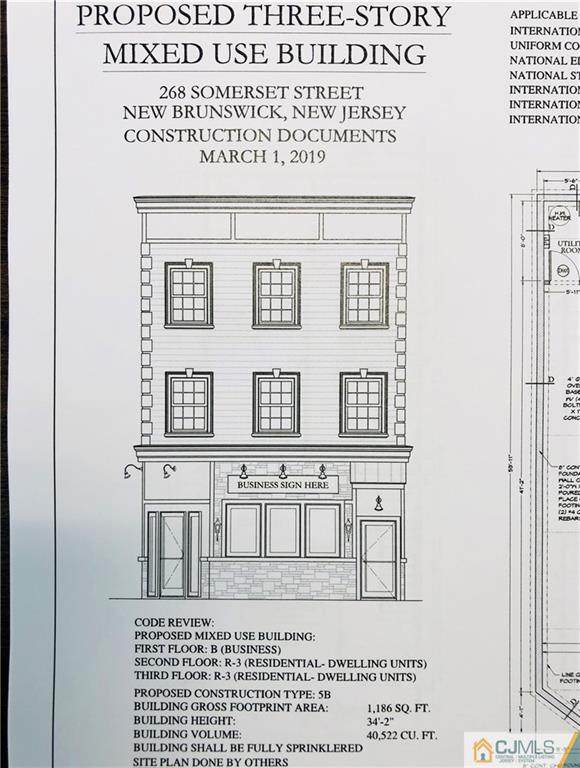 268 Somerset Street - Photo 1