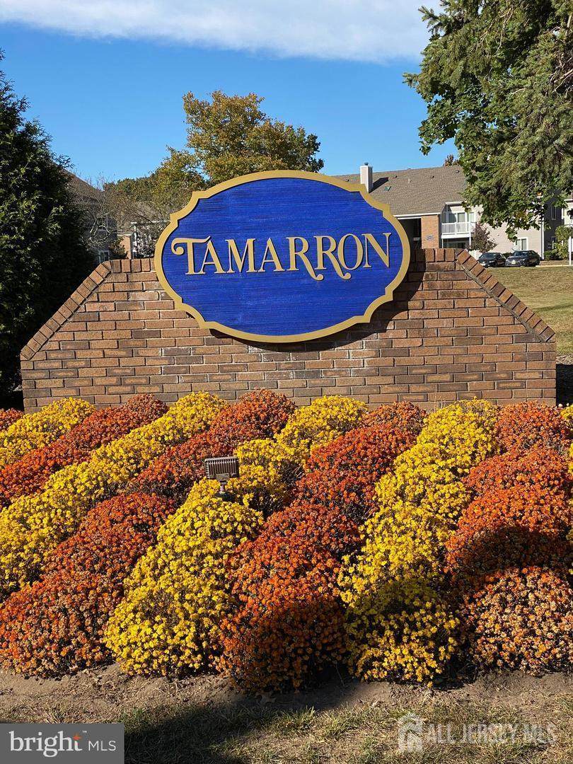 8407 8407 Tamarron Drive - Photo 1