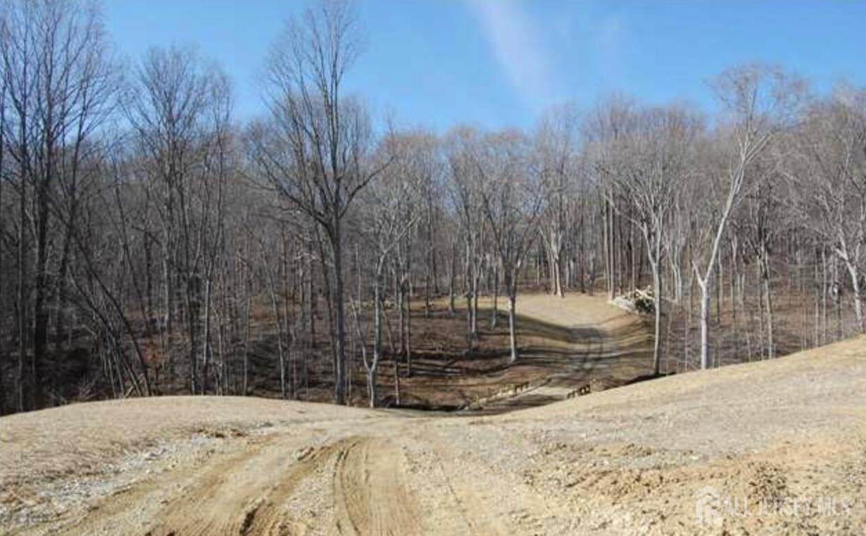 213 Walnut Drive - Photo 1