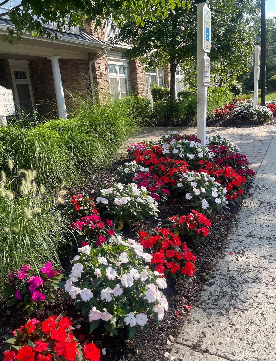 2102 Cedar Village Boulevard - Photo 1
