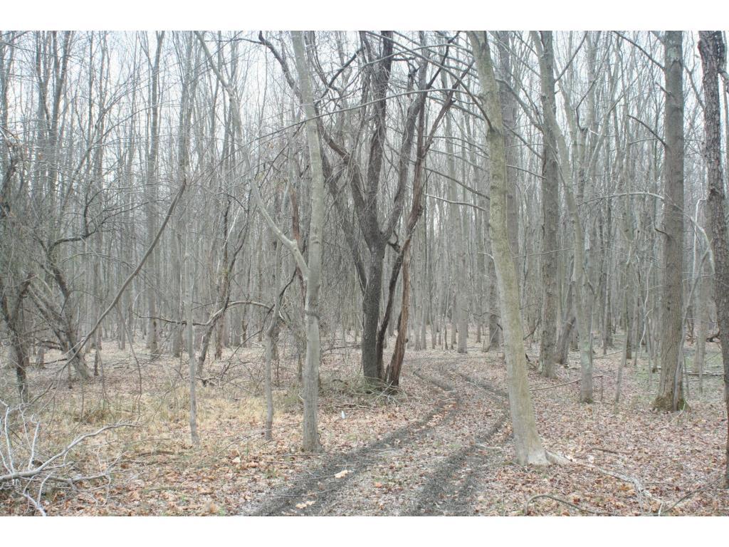0 Marlboro Road - Photo 1