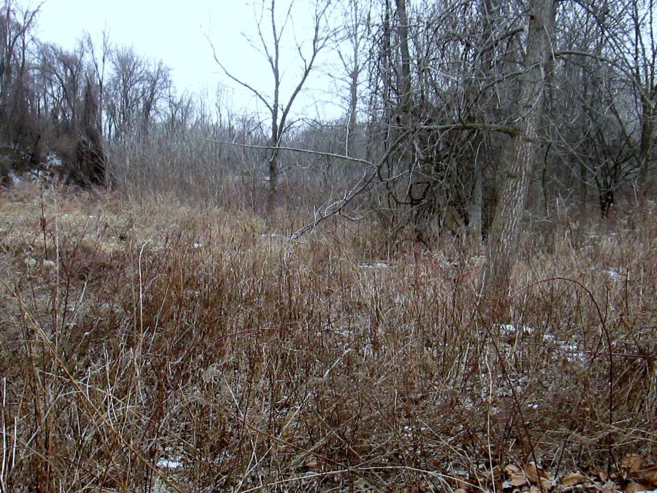 Ten Mile River Rd - Photo 1