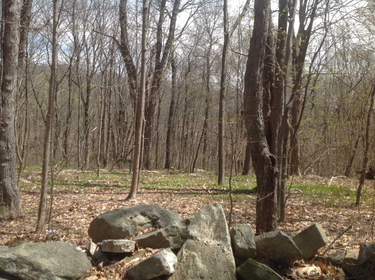Stormville Mountain Rd - Photo 1