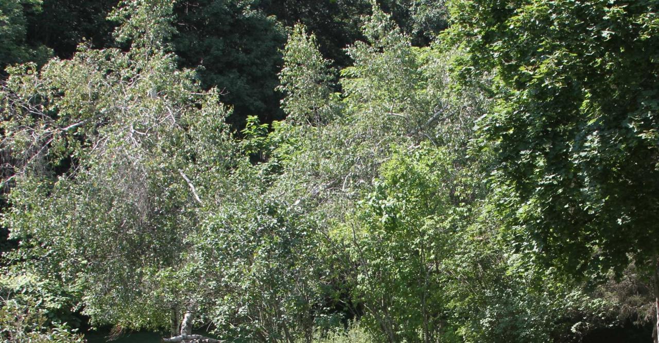 Rte 44 - Photo 1