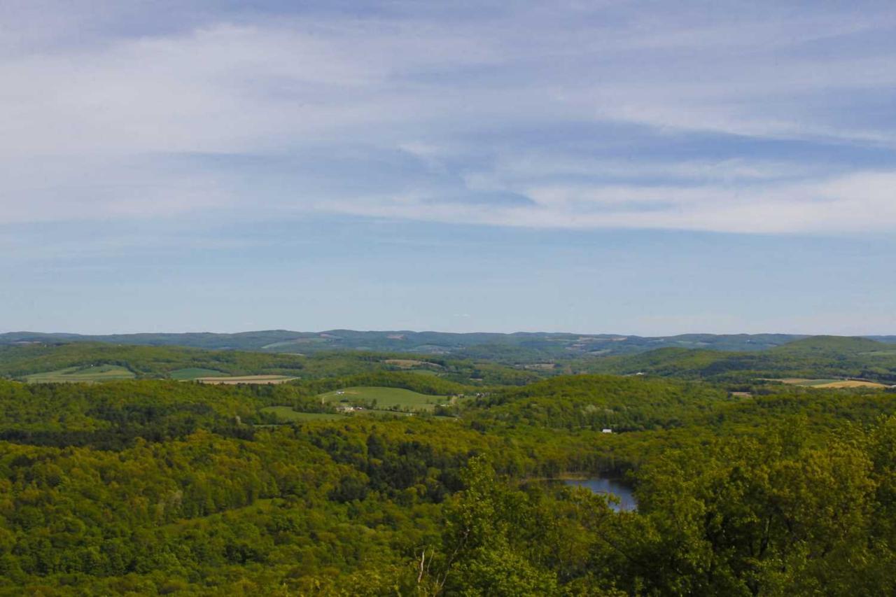 Green Hill Road - Photo 1