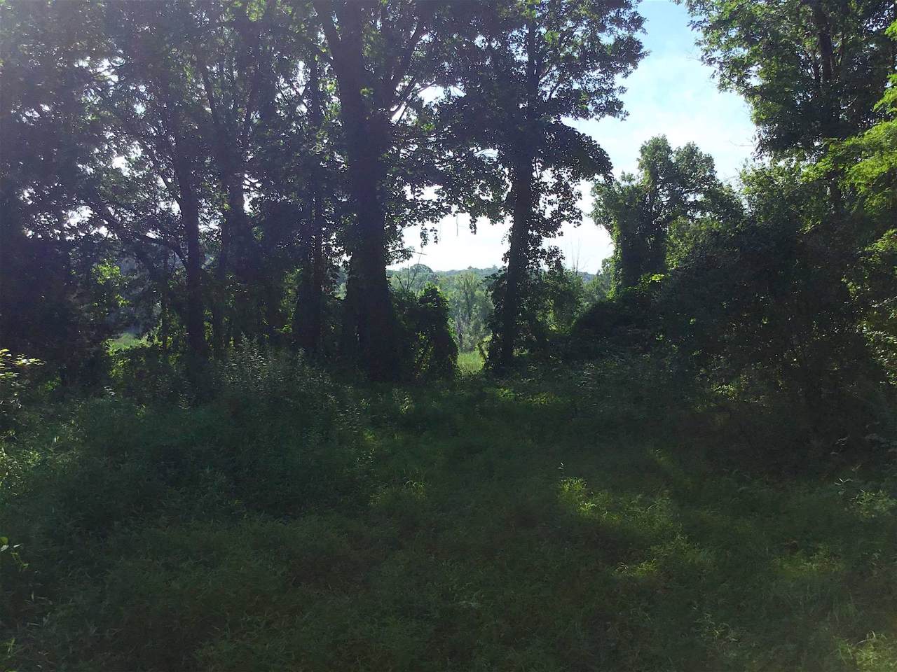 37 Cove View Ln - Photo 1