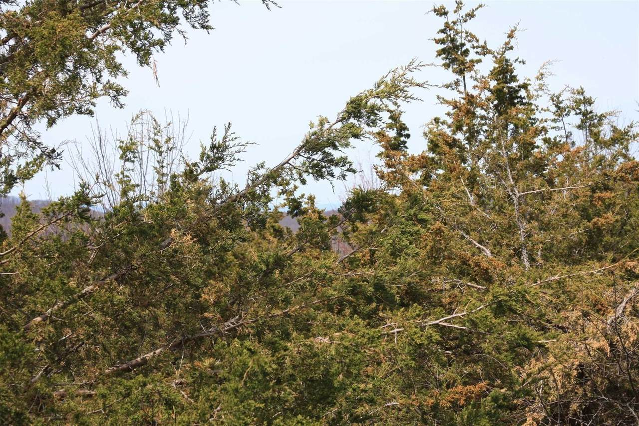 Hillside Road - Photo 1
