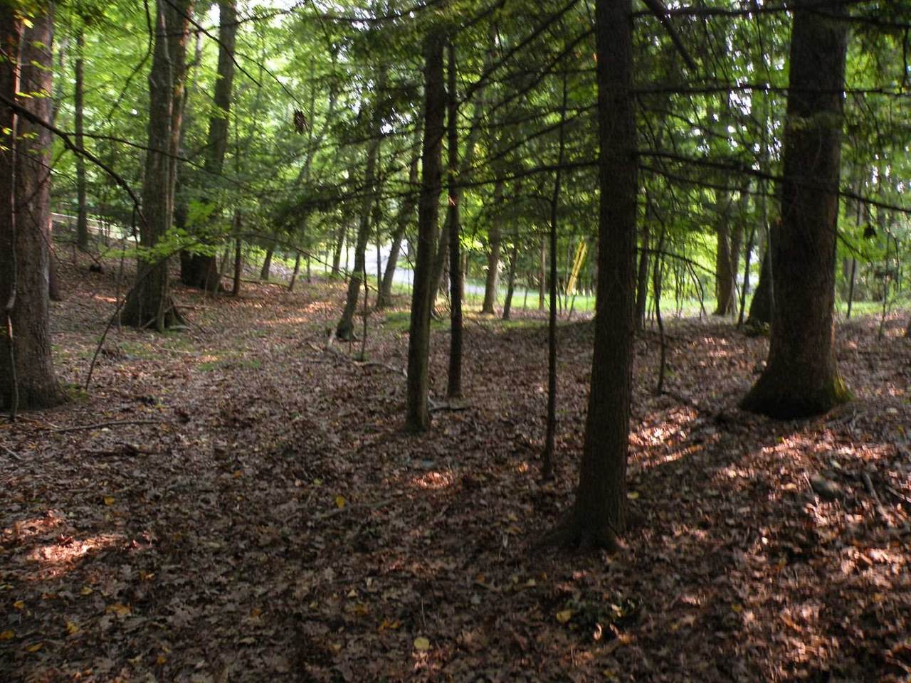 Stissing Mountain Ro - Photo 1