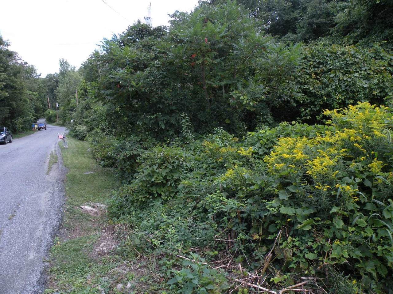 58 Forest Drive 0 - Photo 1