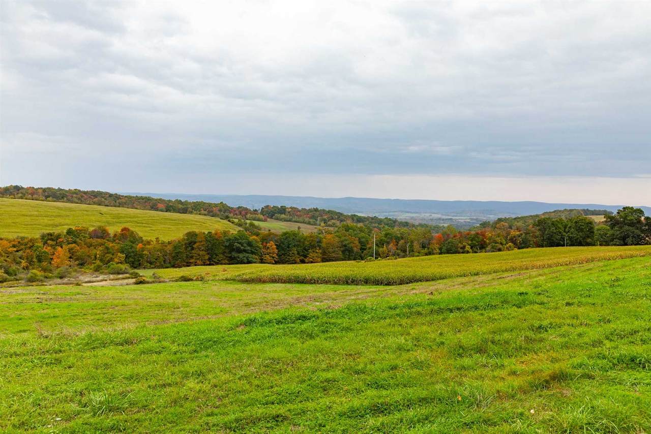 Homestead Farm - Photo 1