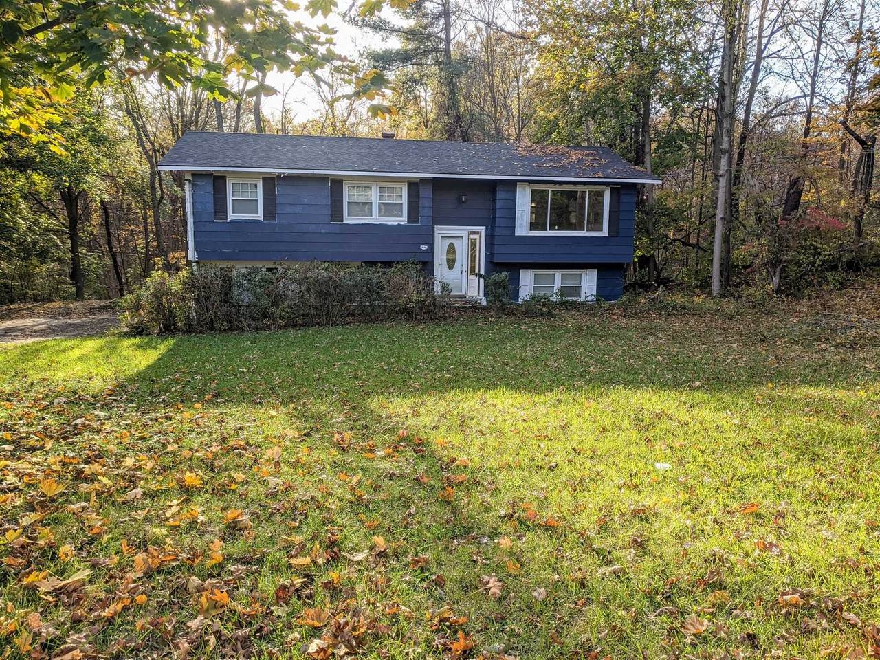 50 Fenmore Dr - Photo 1