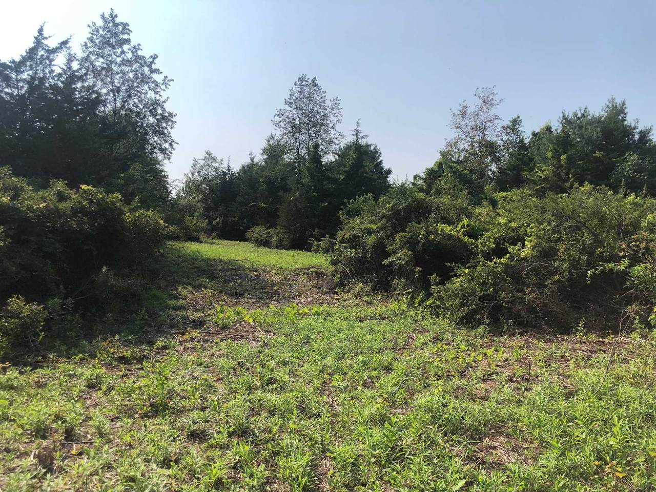 33 Vosburgh Rd - Photo 1