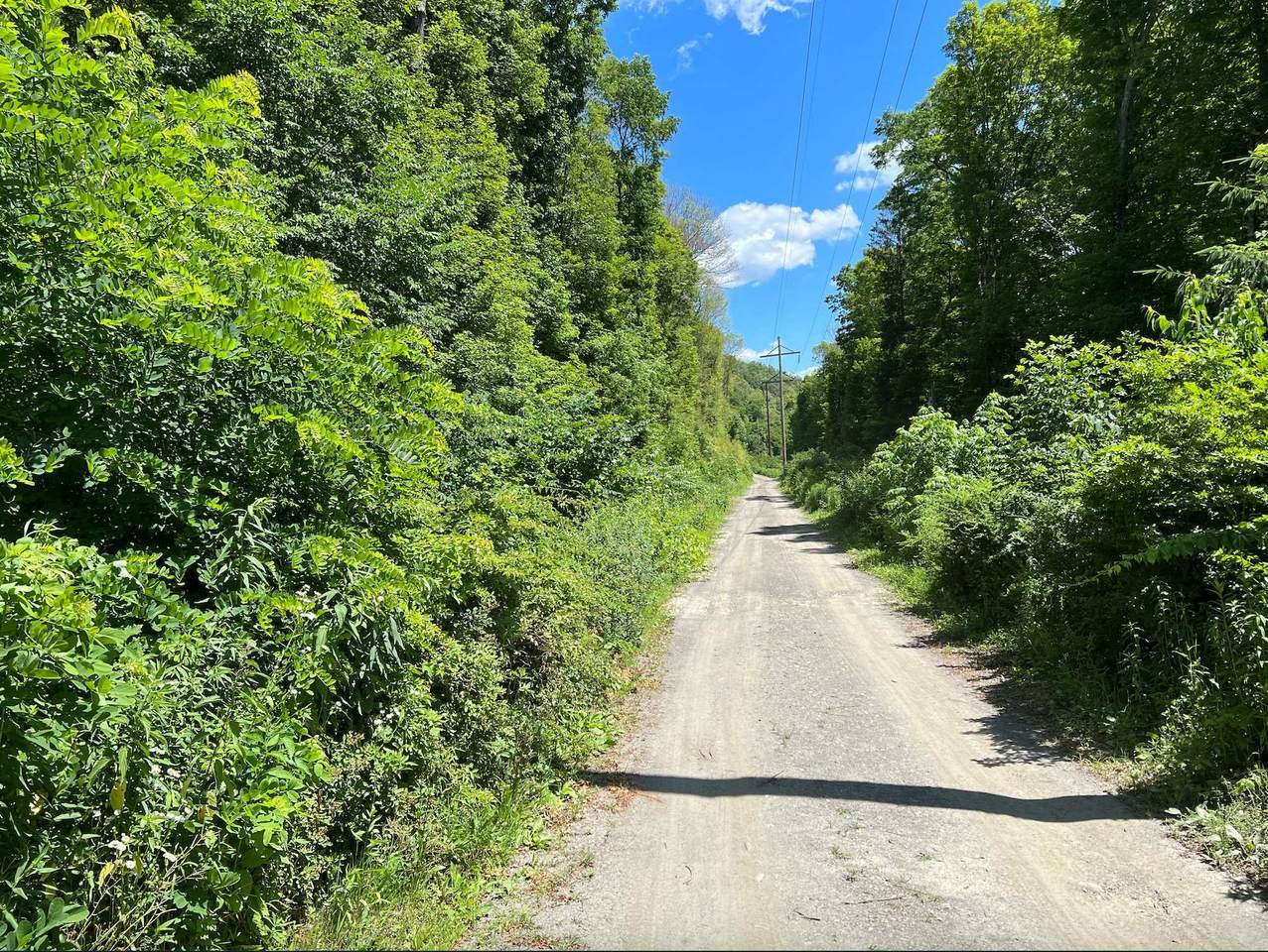 4477 Route 199 - Photo 1