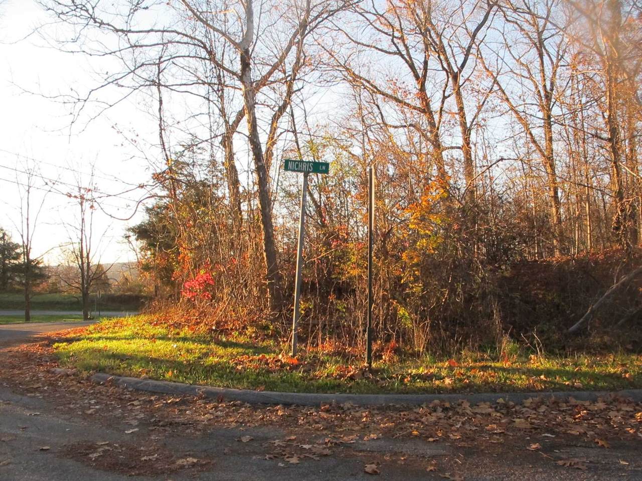 20 Nichris Lane - Photo 1