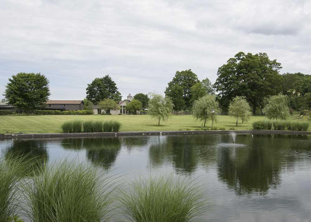 Pondview Farm Rd - Photo 1