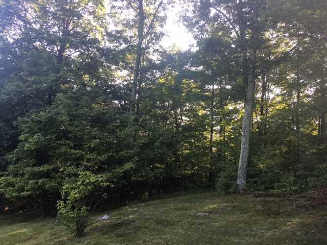 Tbd Crescent Avenue - Photo 1