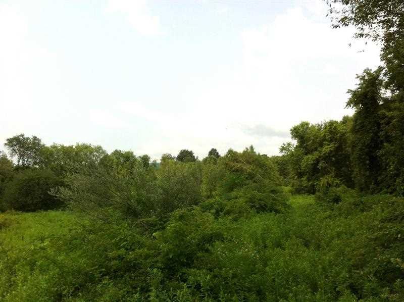 Sharon Road - Photo 1