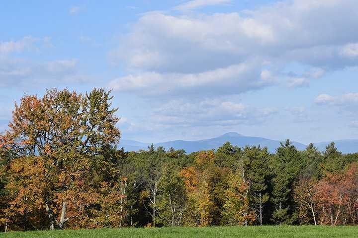 555 Milan Hill - Photo 1