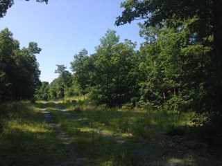 Rockys Way Lot 12 Way - Photo 1 Rockys Way Lot 12 Way - Photo 1