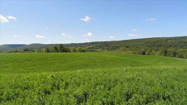 Boston Corners Rd - Photo 1