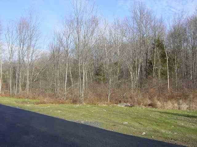 163 Huckleberry Turnpike - Photo 1
