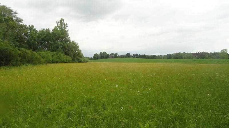 Fish & Game Rd - Photo 1