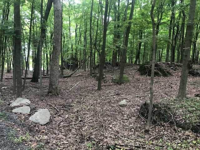 Browns Pond Road - Photo 1