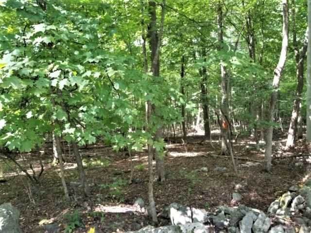 Route 32 S/Meadow Ro - Photo 1