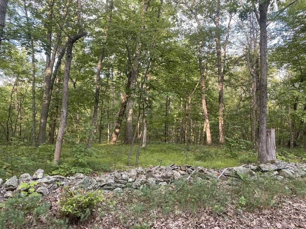 190 Ohland Road - Photo 1