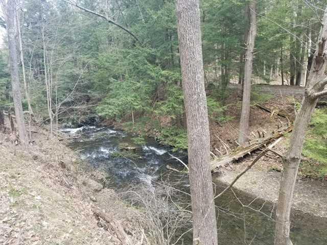 Academy Hill Rd - Photo 1