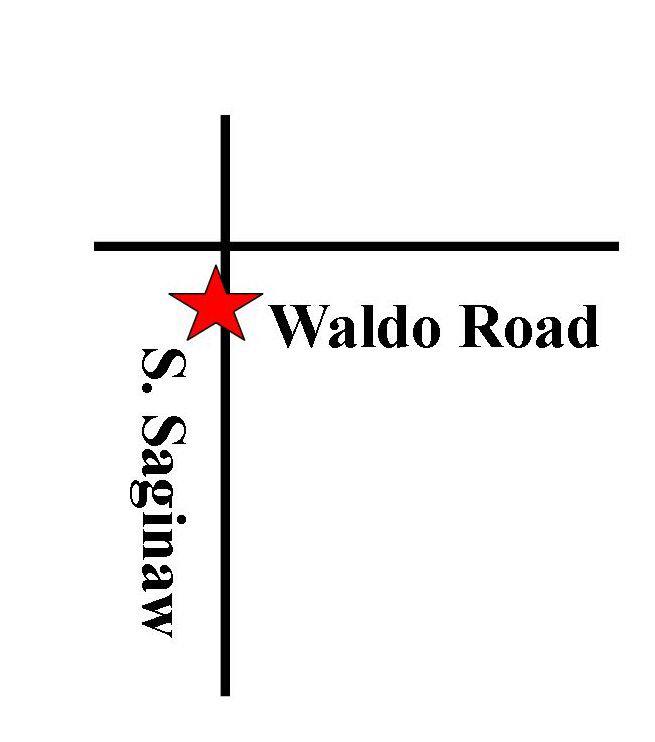 Waldo/ Saginaw Road - Photo 1