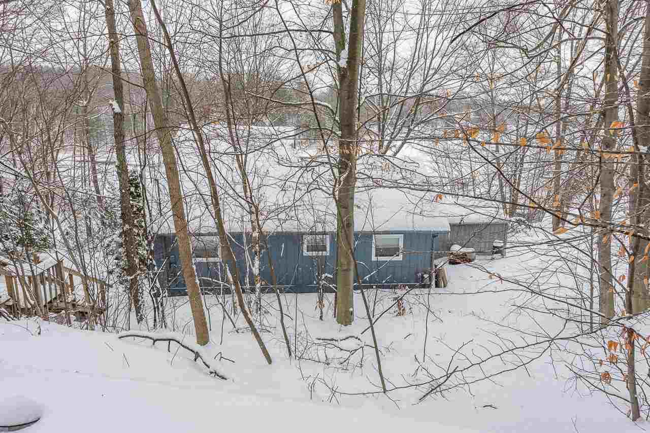 7461 White Birch Dr - Photo 1