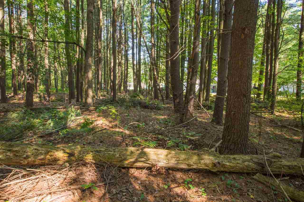 Knollwood - Photo 1