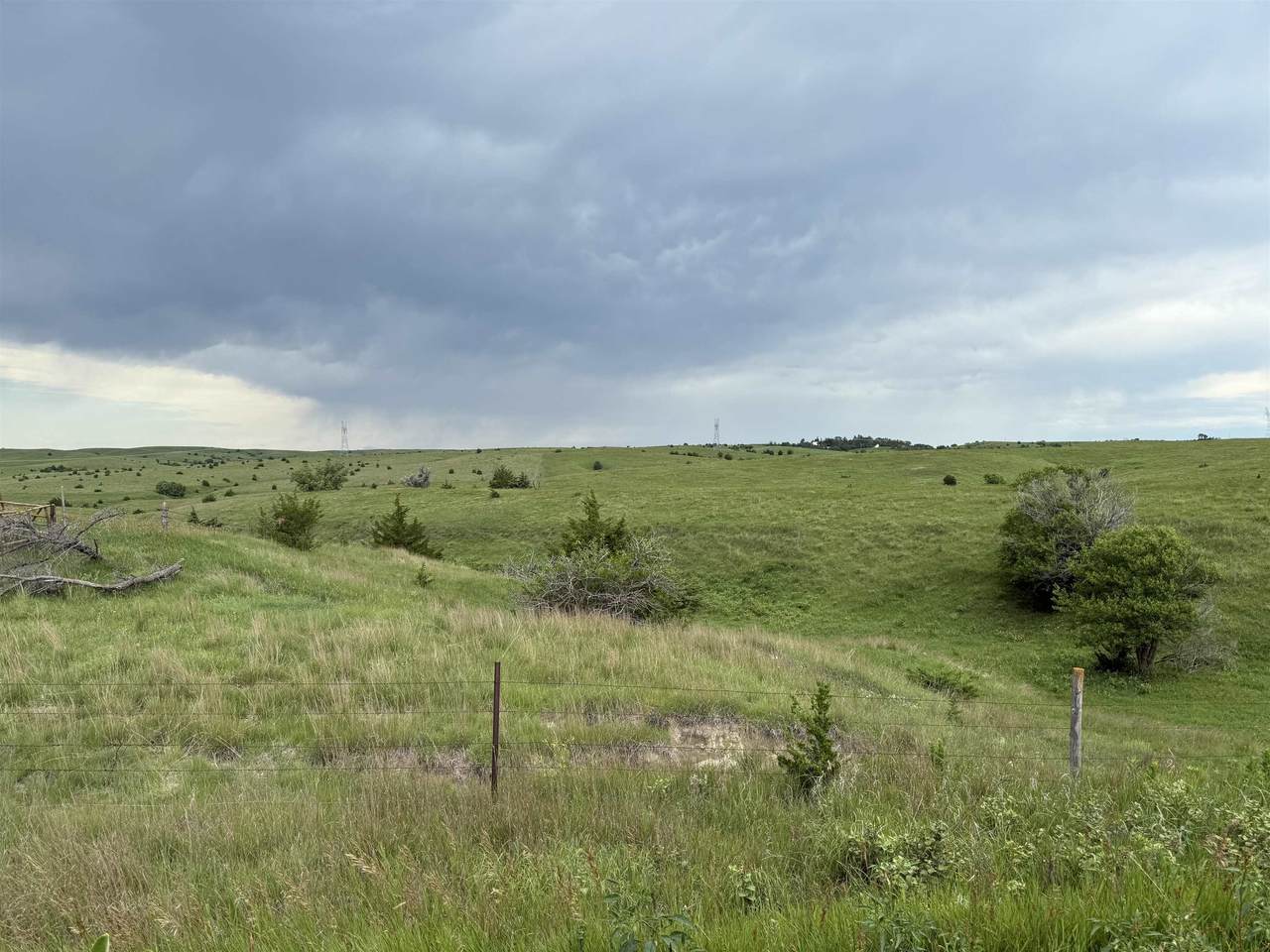 385 Road 460 Road - Photo 1