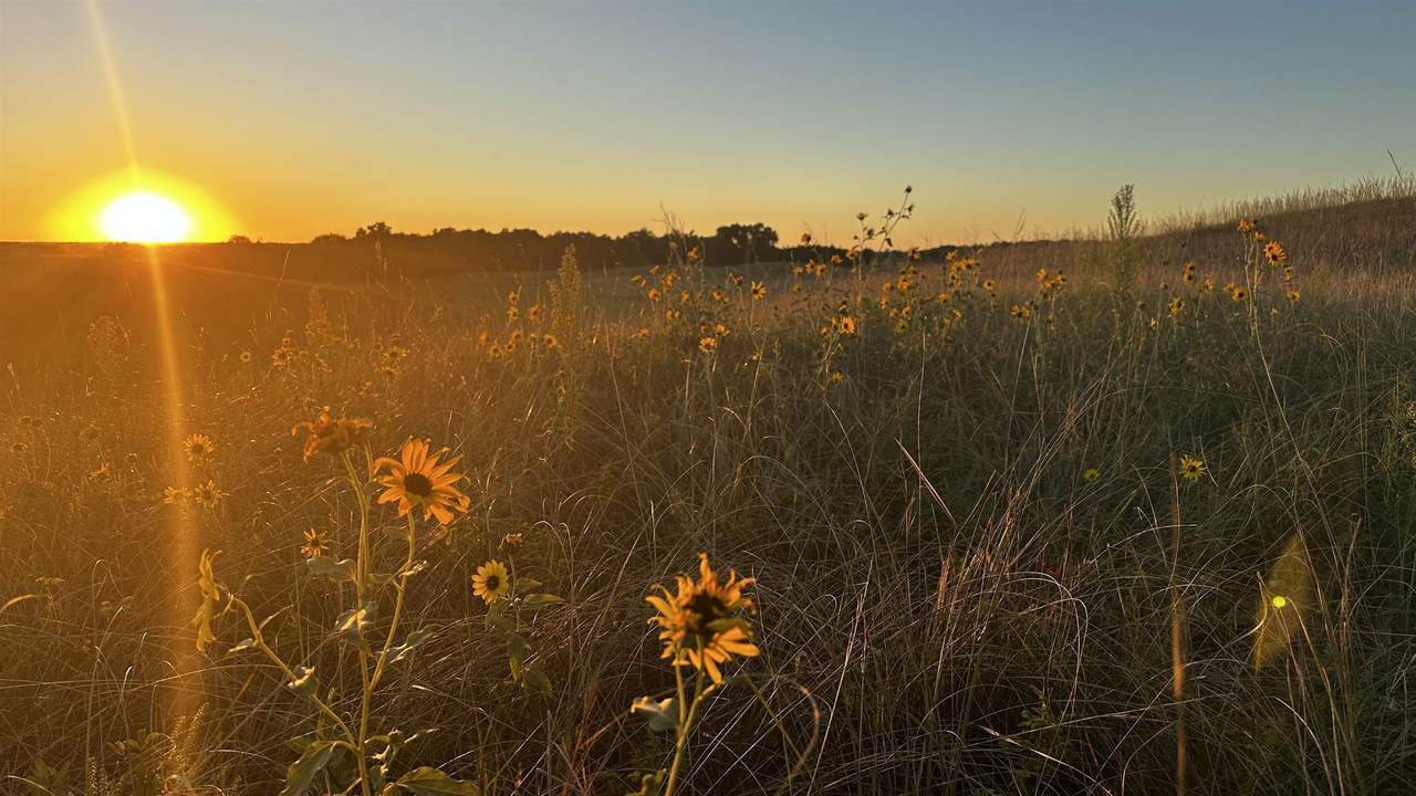 TBD Hwy 58 - Photo 1