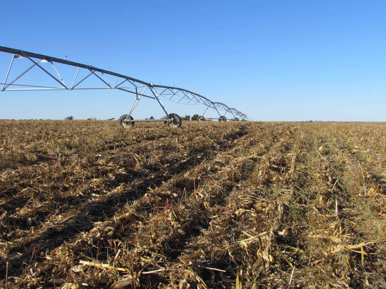 TBD Watertown Road - Photo 1