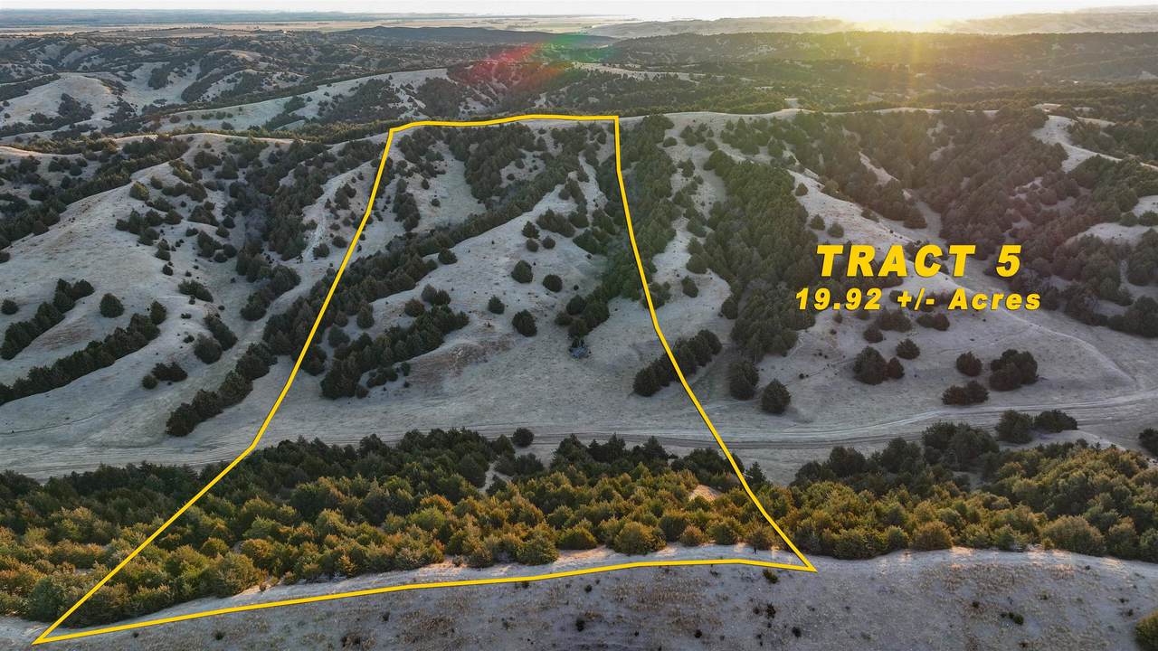 Tract 5 Highland Hills - Photo 1