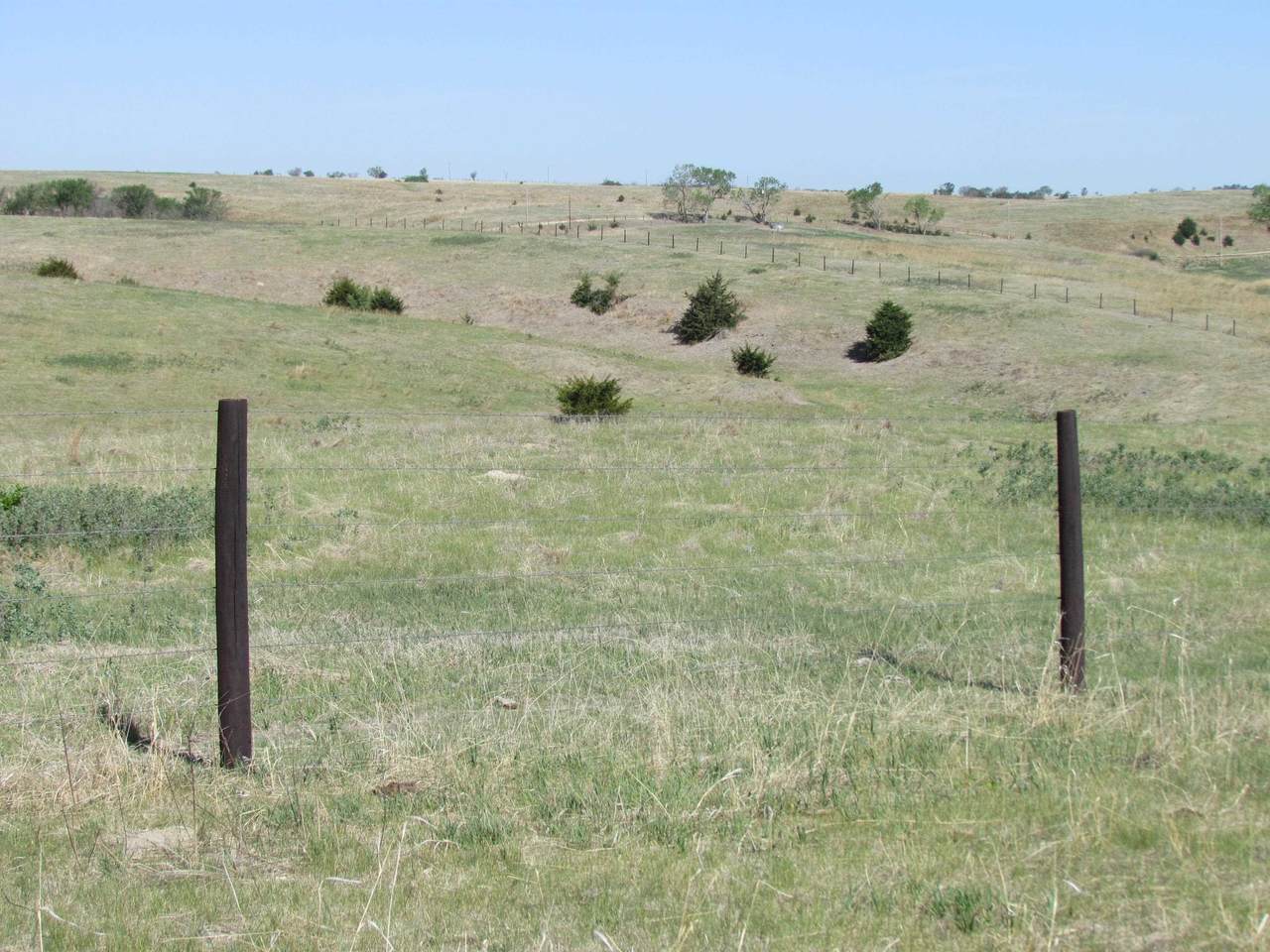 https://bt-photos.global.ssl.fastly.net/midne/1280_boomver_1_20260694-2.jpg