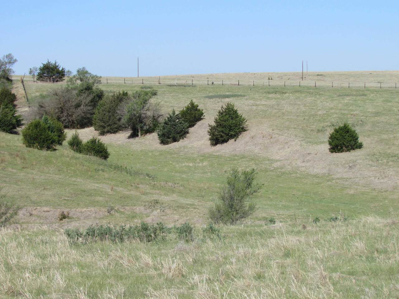https://bt-photos.global.ssl.fastly.net/midne/1280_boomver_1_20260694-2.jpg