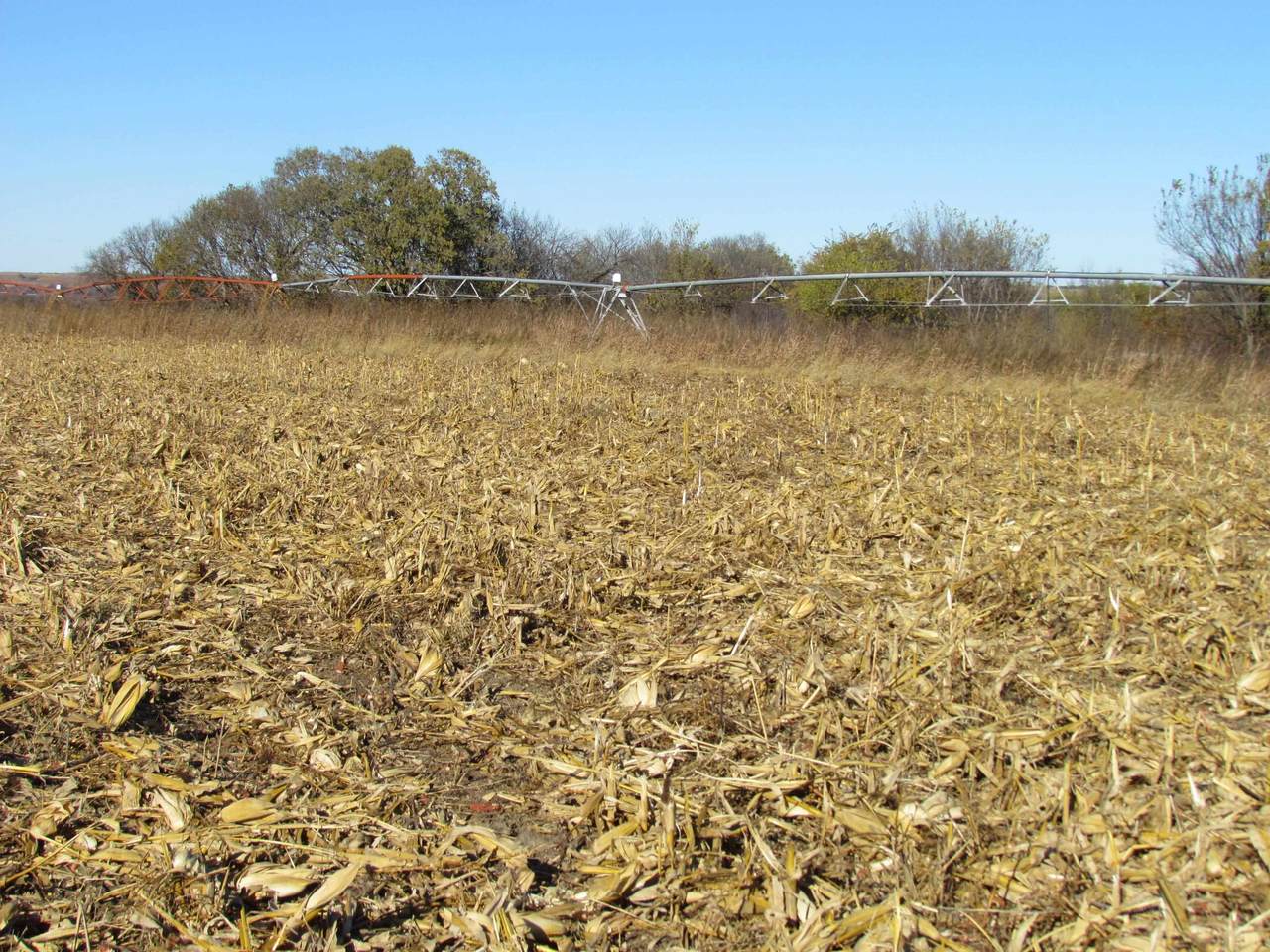 TBD Watertown Road - Photo 1