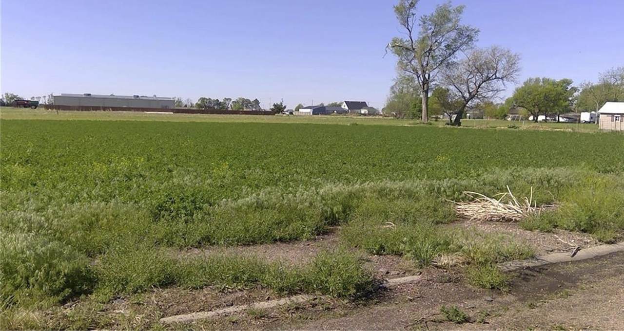 TBD Calkins Avenue - Photo 1