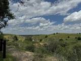 42849 751 Road - Photo 24
